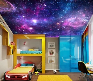 3D Cosmic Attraction G3 Ceiling WallPaper Murals Wall Print Decal Deco Erin 2023 - Picture 1 of 5