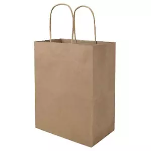 100 Pcs Paper Gift Bags with Handles for Small Business Christmas Party Favors - Picture 1 of 8