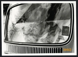 VW BEETLE BUG, oso de peluche, juguetes, reflejo de ventana, ADAC, foto vintage bellas artes - Imagen 1 de 2
