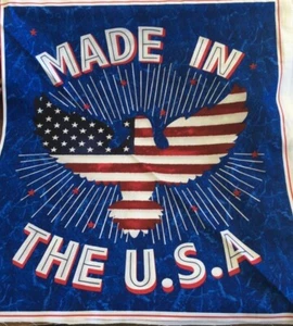 FABRI-QUILT- AMERICAN PRIDE PANEL #112-31901- 2 BLOCK PANEL - Picture 1 of 1