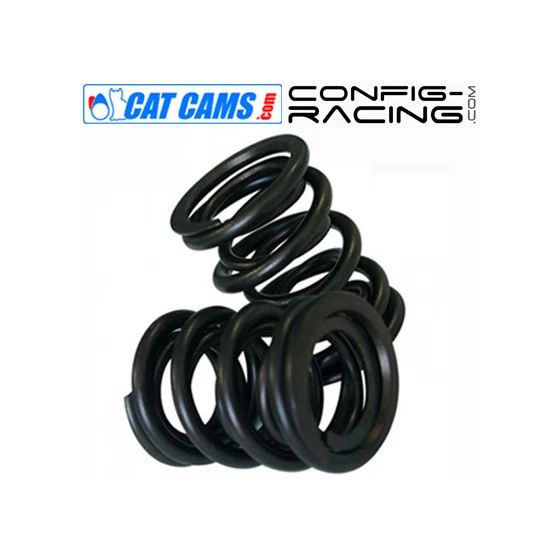 Kit de Ressorts de soupapes Double Cat cams Peugeot 205 1.6 / 1.9 GTi - Photo 1/1