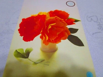 Crepe Paper Peonies Kit --Makes 4 Flowers (2007, Martha Stewart Crafts) - Image 1 of 4