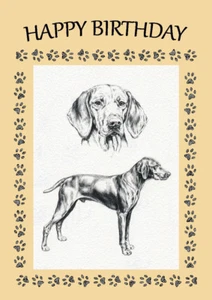 HUNGARIAN VIZSLA SKETCH DOG  BIRTHDAY GREETINGS NOTE CARD  - Picture 1 of 1