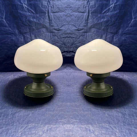 Pair Green Flush Mounts With Milk White School House Globes 140C Cover