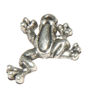 Frosch Anhänger Tibetisches Silber J1170 - Bild 1 von 6