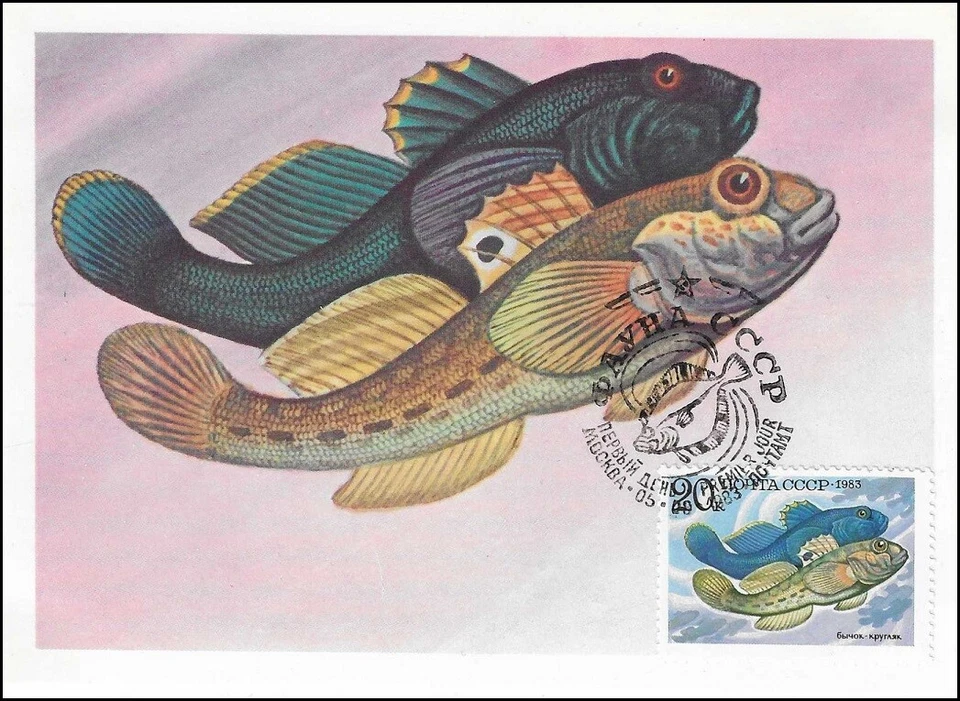 Round Goby Very Aggressive Fish Caspian Sea Russia Mint Maxi FDC 1983 - Image 1 of 1