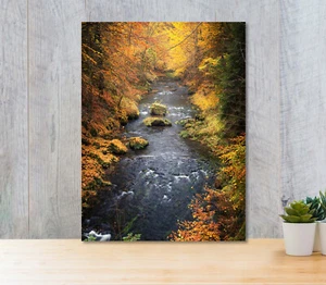Autumn, Forest & River 5mm thick Plastic Poster Ready to Hang 45x60cm - Picture 1 of 3