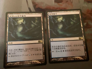 Drowned Catacomb 2x MtG Magic Magic 2011 (M11) | Chinese 1x | Japanese 1x NM - Picture 1 of 2