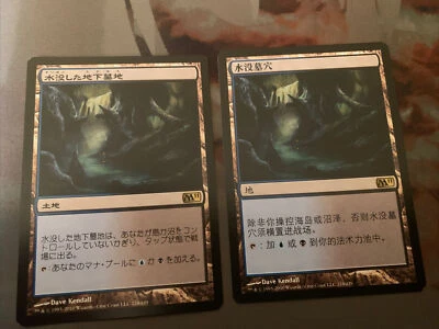 Drowned Catacomb 2x MtG Magic Magic 2011 (M11) | Chinese 1x  | Japanese 1x NM - Image 1 of 2