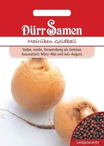 Dürr Mairüben / Butterrüben " Goldball "  Sämereien, Saatgut, Rüben  300 Korn  - Bild 1 von 1