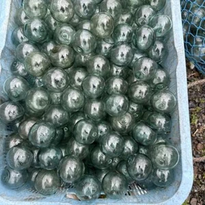 Set 50 Palline Boa Galleggiante Pesca Vetro Ottime Condizioni Giappone Vintage Blu - Foto 1 di 3