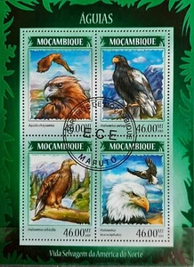 161.MOZAMBIQUE 2014 USED STAMP M/S BIRDS, EAGLES. - Picture 1 of 1