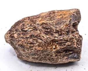 205 g Naranja Negro Ámbar Rudo Piedra Preciosa Natural Fósil Espécimen Crudo - Indonesia - Imagen 1 de 7