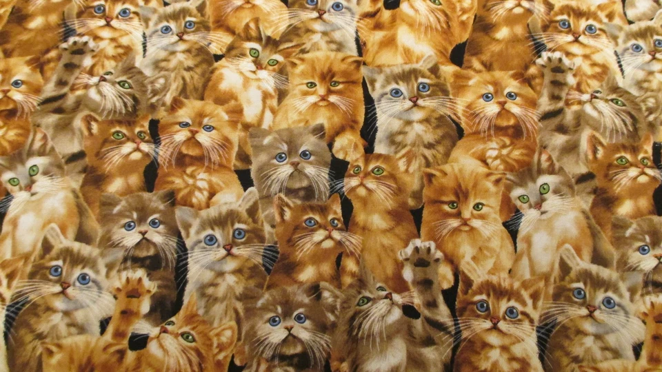 Хлопчатобумажная ткань Cats All over Timeless Treasures Michael S C4121 1 ярд 15 дюймов x 44 - Изображение 1 из 4