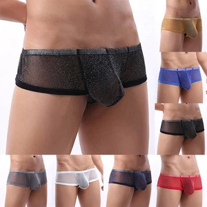 Sheer Mesh Pouch Low Waist Boxer Briefs Underwear Panties For Men M 2XL - Picture 1 of 36