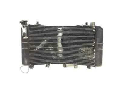 Fluido delantero de refrigeración del radiador con ventilador 2000 Suzuki Hayabusa GSX1300R 2771A x Foto 1 de 4