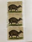 Chevrotain Mouse Deer Fawn Goat Lot 3 Tobacco Silks Zira Cigarettes Circa 1910