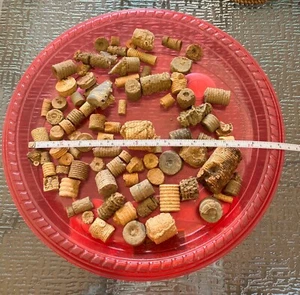 UN LOTE 15+ OZ. TALLOS CRINOIDES FOSILIZADOS ARCILLA, OVERTON COUNTY TENNESSEE Lote B - Imagen 1 de 3