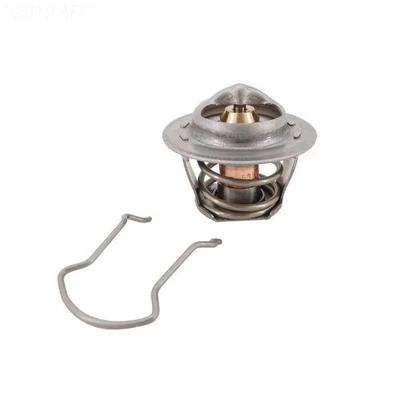 Pentair Thermal Regulator w/Spring Clip - Image 1 of 2