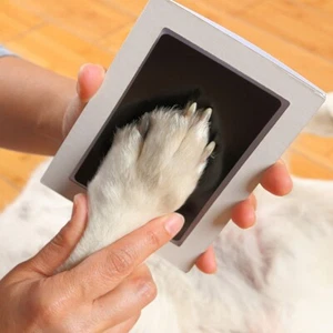Pet Paw Print Kit With 1 Ink Pad And 2 Imprint Cards Baby Footprint Handprint - Picture 1 of 7