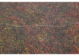 Authentic Australian Indigenous/Aboriginal Painting Art Warrina Designs - Bild 1 von 3