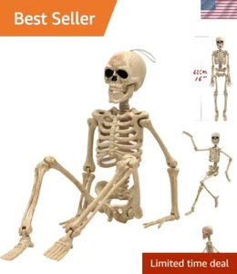 16" Halloween Skeleton,Full Body Skeleton with Posable Movable Joints for Hau... - Picture 1 of 10