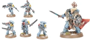 WOLF GUARD BATTLE LEADER + 5x GREY HUNTERS Space Wolves *New* Warhammer 40k - Picture 1 of 9