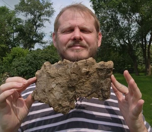 Triceratops Scapula Section - Large Heavy Piece Hell Creek Formation Cretaceous - Picture 1 of 10