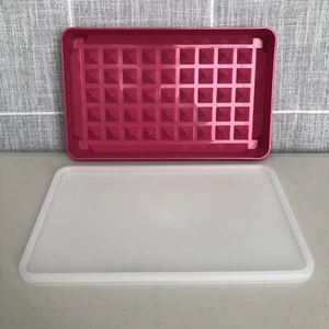 Tupperware Meat Bacon Hot Dog Keeper Contenedor 10x6 Rosa con Tapa 1292-8 1293-1 - Imagen 1 de 14