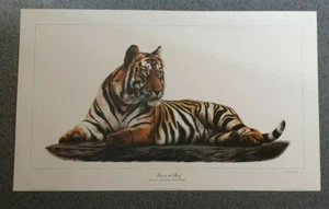 Powwr at Rest, Limited Edition, Tiger, Animal, Sarah George,Art Print - Picture 1 of 6