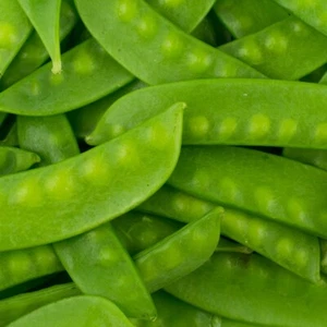 1 Lb Oregon Sugar Pod II Pea Seeds - Everwilde Farms Mylar Seed Packet - Picture 1 of 2