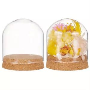 2Sets Glass Dome Cover Decorative Display Case Cloche Bell Jar Terrarium - Picture 1 of 6
