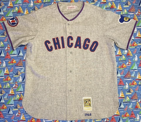 Vintage Mitchell & Ness MLB Chicago Cubs Ernie Banks Baseball Jersey Cover