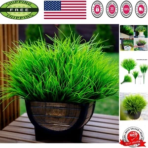 20 Count Artificial Wheat Grass - Perfect for Indoor & Outdoor Events - Picture 1 of 11