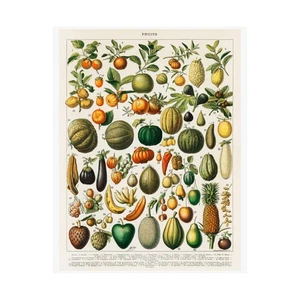VINTAGE BOTANICAL FRUIT PINEAPPLE BANANA COCONUT Matte Print Kitchen Wall Art - Picture 1 of 6