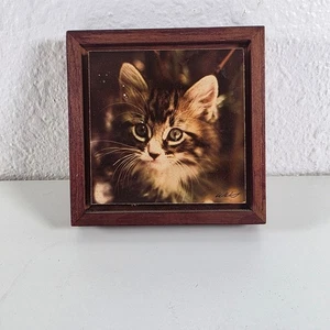 Vintage Framed Kitten Cat Portrait Art Print Small Wooden Wall Decor - Picture 1 of 6