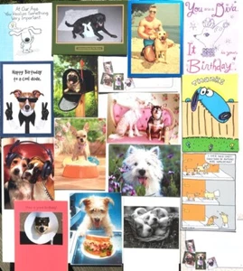 Lot of 18 FUNNY & BRIGHT DOG LOVERS CARDS 12 Birthday 2 TOY 1 GW+ AVANTI & RPG - Picture 1 of 5