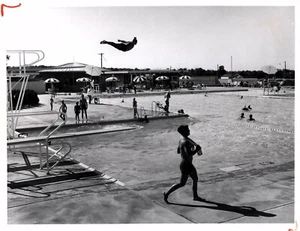 PRESS PHOTO - 1962 NEW CAROUSEL CLUB IN SHEFFIELD LAKE, OH - POOL, SWIMMERS - Bild 1 von 2