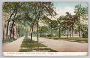 Humboldt Boulevard, Norden von North Ave, Chicago Illinois Vintage Postkarte - Bild 1 von 2