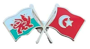 Wales & Turkey Flags Friendship Courtesy enamel Lapel Pin Badge T785 - Picture 1 of 3