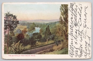 Undivided Back Postcard The Catskills from Snake Road - Picture 1 of 2