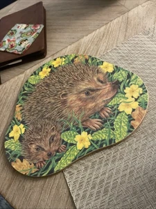 Hoja de trébol Inglaterra Novedad Tablero Erizo Colgante Decoración de Pared De Colección - Imagen 1 de 4
