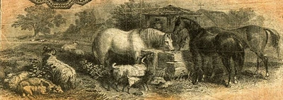 VT $1 BRATTLEBORO Vermont Windham County Bank March 1857 PMG 15 Ch Fine VT40 G2a - Image 1 of 4