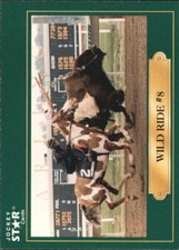 1991 Horse Star Jockey #220 Wild Ride #8