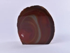 Geoda Natural Rojo/Marrón Pulido ÁGATA Geoda Cristal Independiente 340 g - Imagen 1 de 3