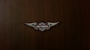 Iron-On Patch - Harley Davidson Logo - Motorcycles - Picture 1 of 3