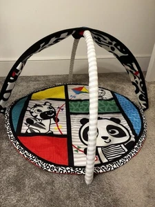 Baby Einstein Play Mat Gym Toy - Picture 1 of 4