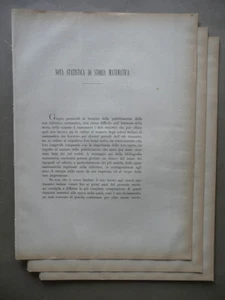 Statistische Notiz der mathematischen Geschichte Memoria Riccardi Grafik 1870-80 Modena - Bild 1 von 2