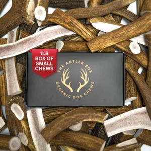 Premium Elk Antler Dog Chews (1 Pound Box) (Small (7-8 Pieces) Whole/Split Mixed - Picture 1 of 12