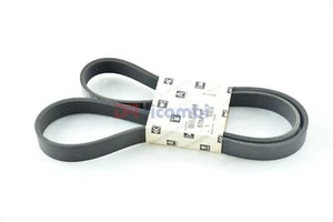 Correa de Transmisión Poly-V CITROEN C2 C3 Peugeot 1007 307 - CITROEN 5750VT - Picture 1 of 3